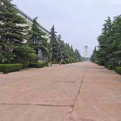 蒙版组 268.webp